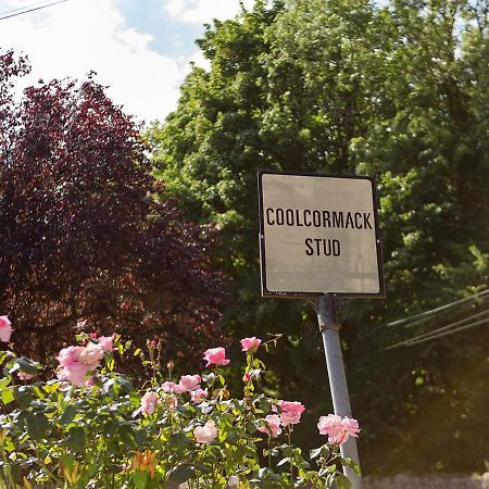 Coolcormack Stud B&B 던가반 외부 사진
