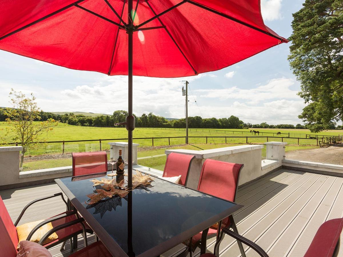 Coolcormack Stud B&B 던가반 외부 사진