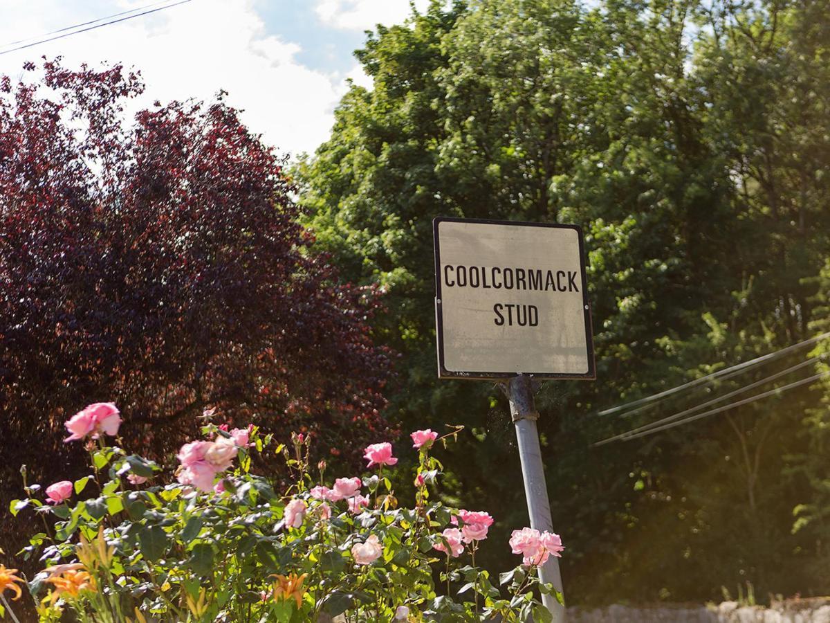 Coolcormack Stud B&B 던가반 외부 사진