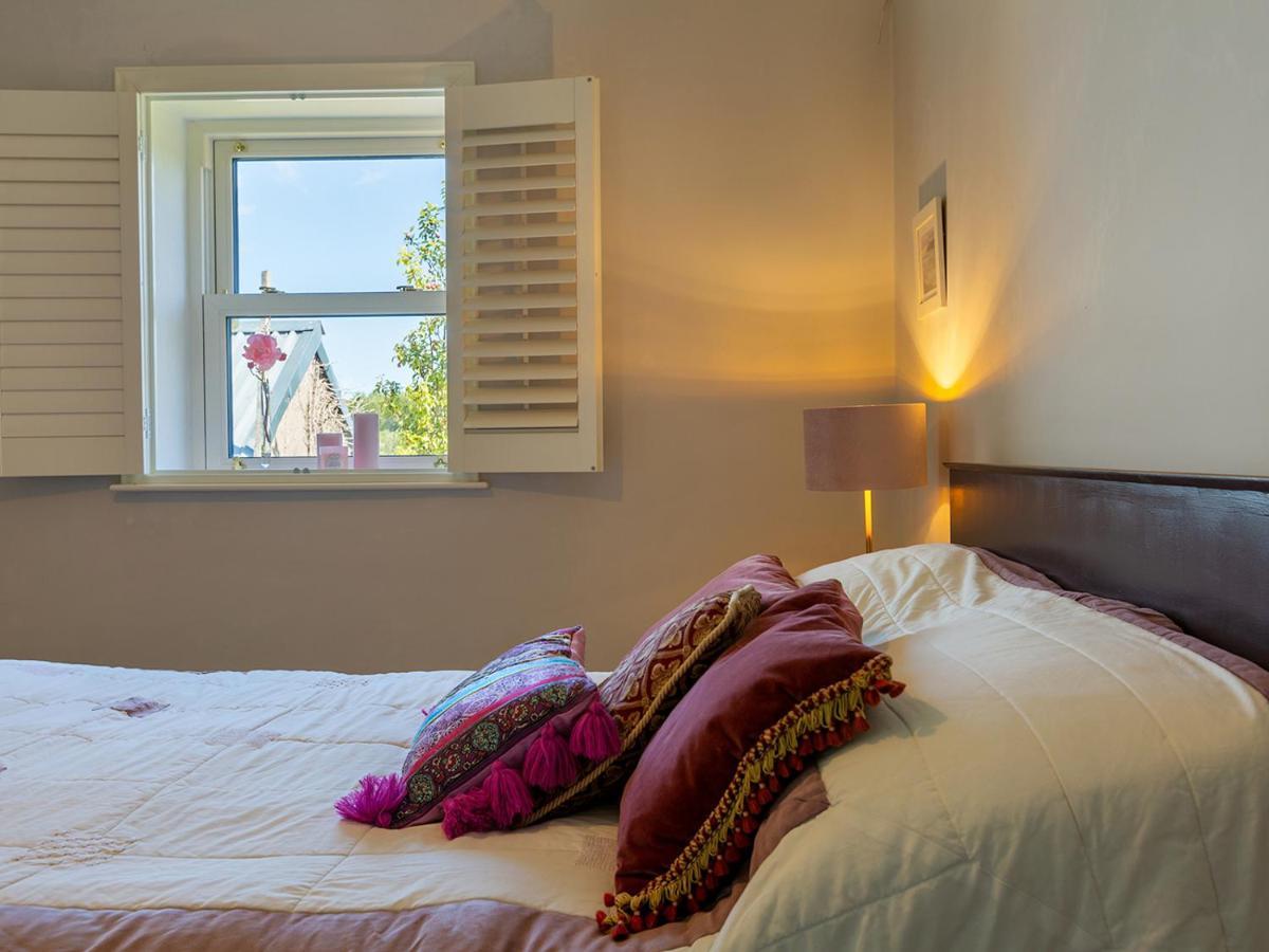 Coolcormack Stud B&B 던가반 외부 사진